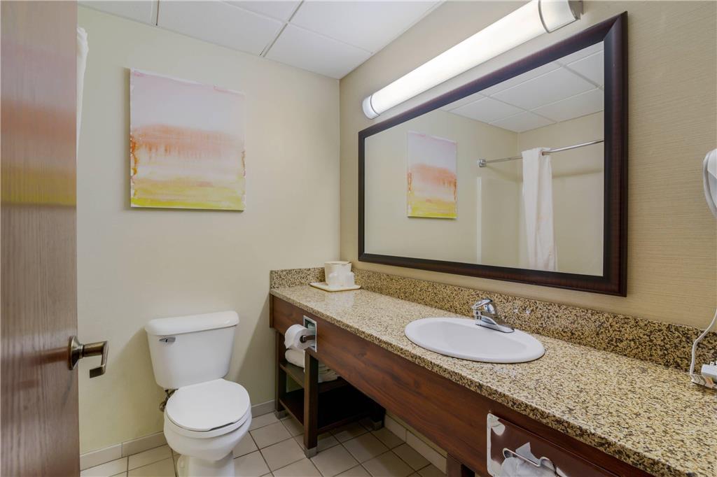 Comfort Inn Bismarck - photo 13