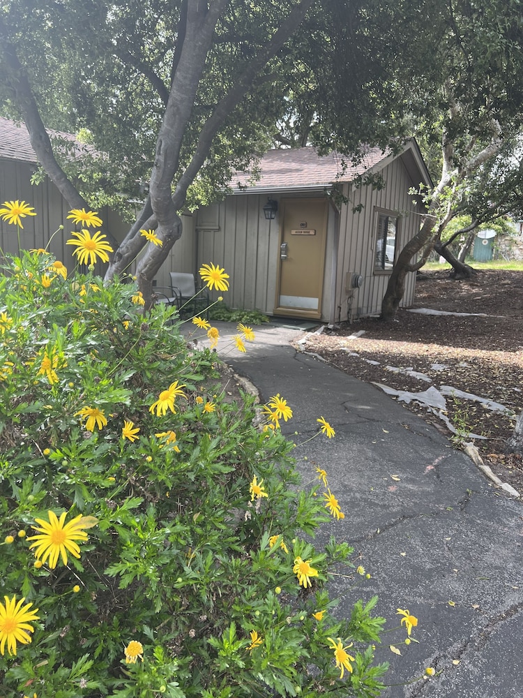 Carmel Resort Inn - photo 115