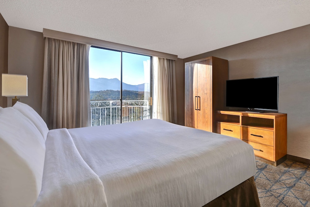 Embassy Suites by Hilton Colorado Springs - photo 14
