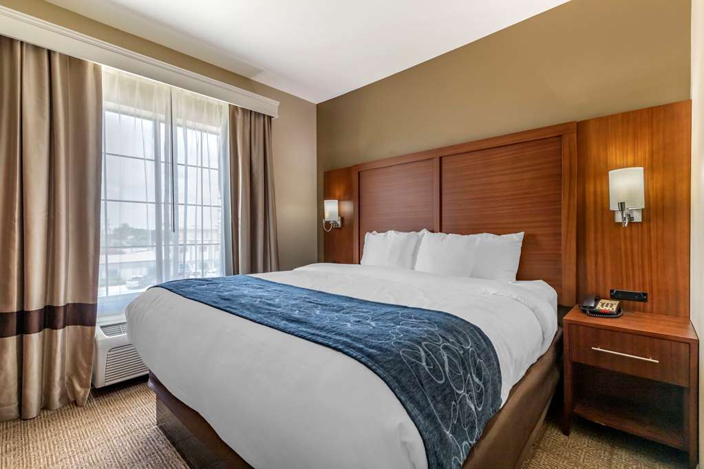 Comfort Suites Buda Austin South - photo 19