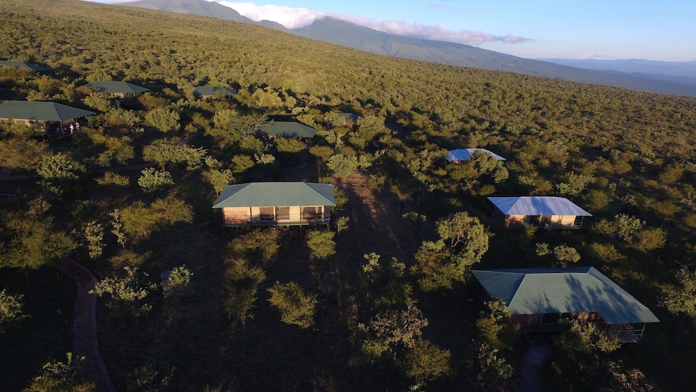 Ngorongoro Wild Camps — 4-Star Luxury Hotel in Ngorongoro, Tanzania