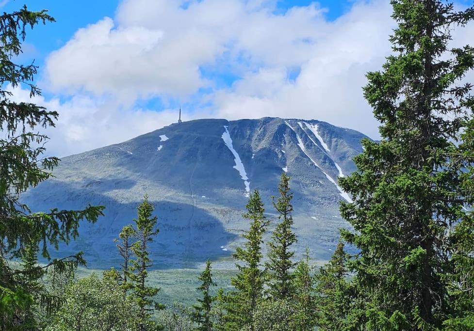Fin leilighet med flott utsikt til Gaustatoppen — 4-Star Luxury Hotel in Rjukan, Norway