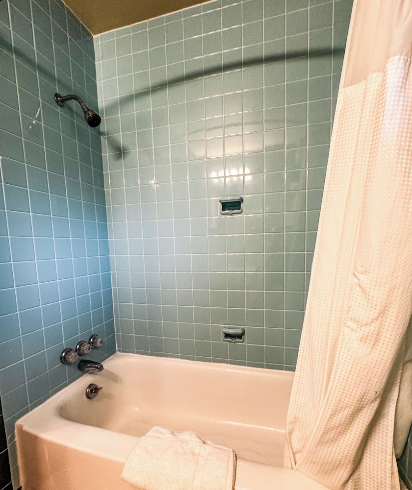 The Springs Motel - photo 50