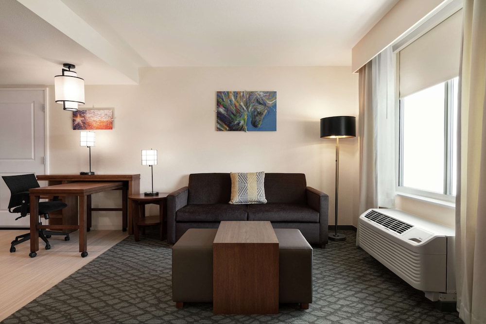Homewood Suites by Hilton Houston NW at Beltway 8 TX - photo 27