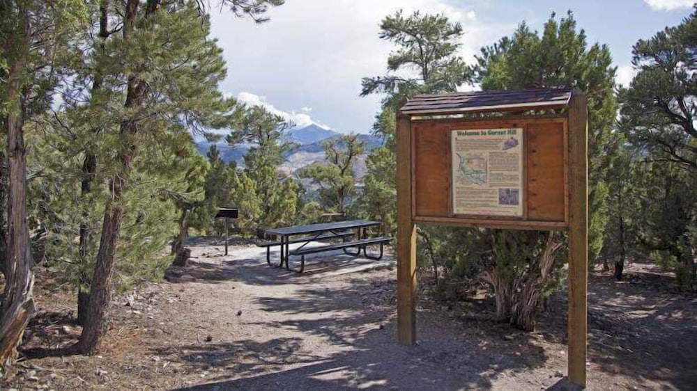 Bristlecone Motel - photo 62