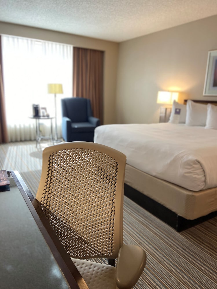 The Clyde Hotel - photo 9