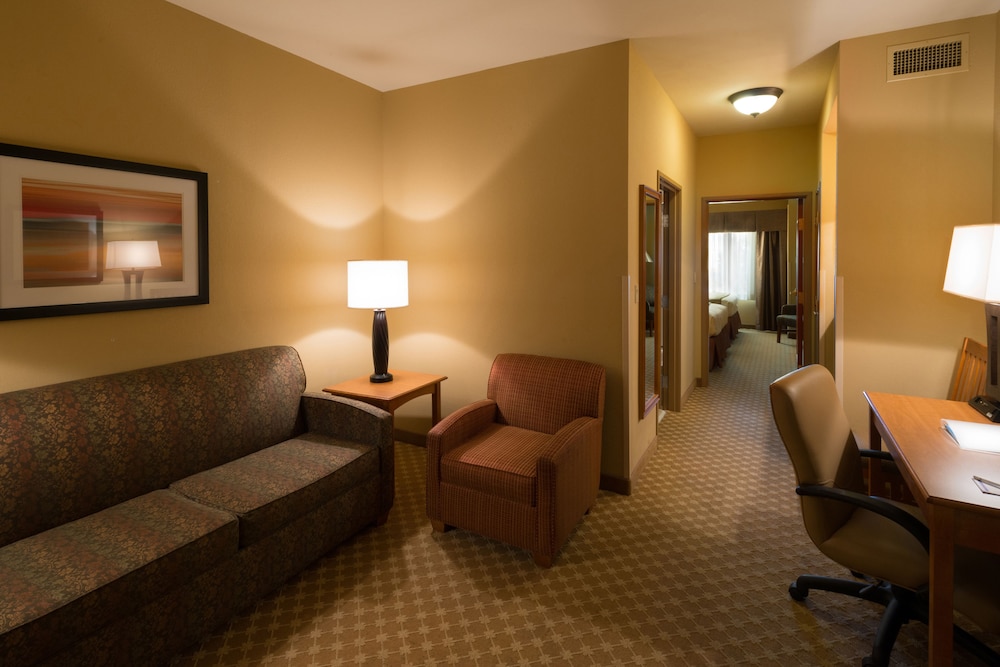 Holiday Inn Express & Suites Chicago West Roselle by IHG - photo 7