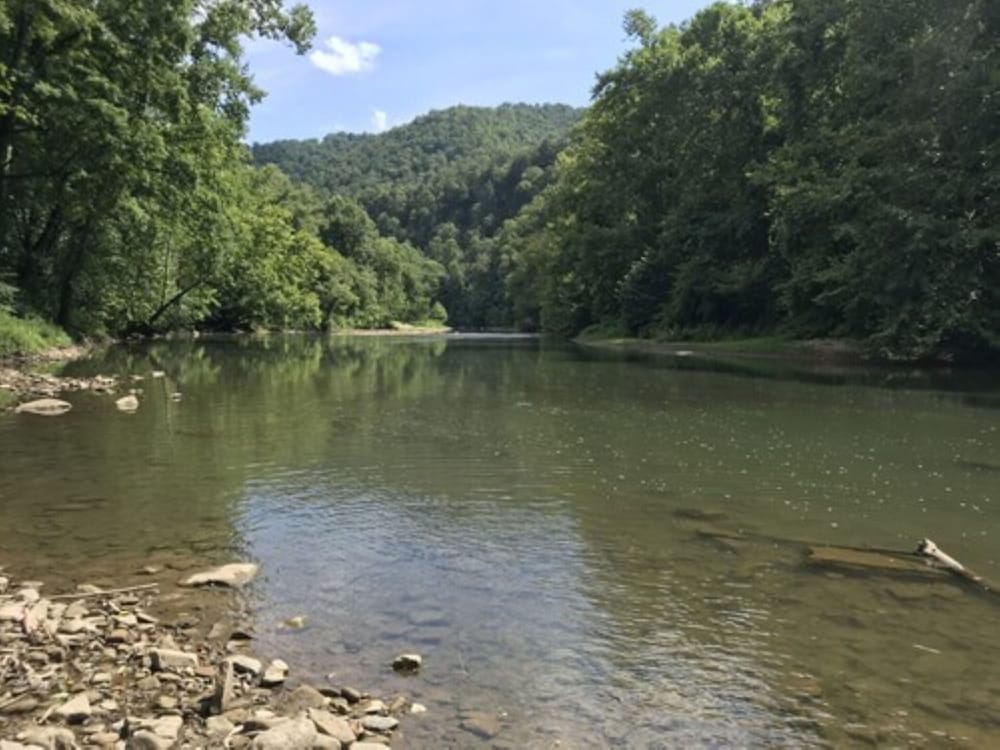 Fox Run Resort - photo 42