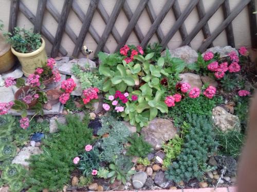 Les Trois Rois in Nimes, France