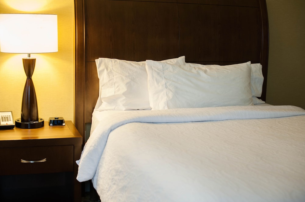 Hilton Garden Inn Buffalo Downtown - photo 10