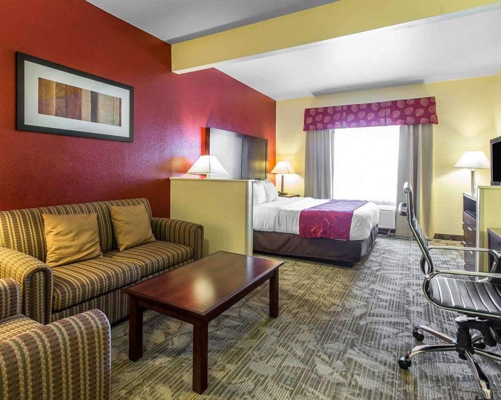 Comfort Suites Palm Desert I 10 - photo 22