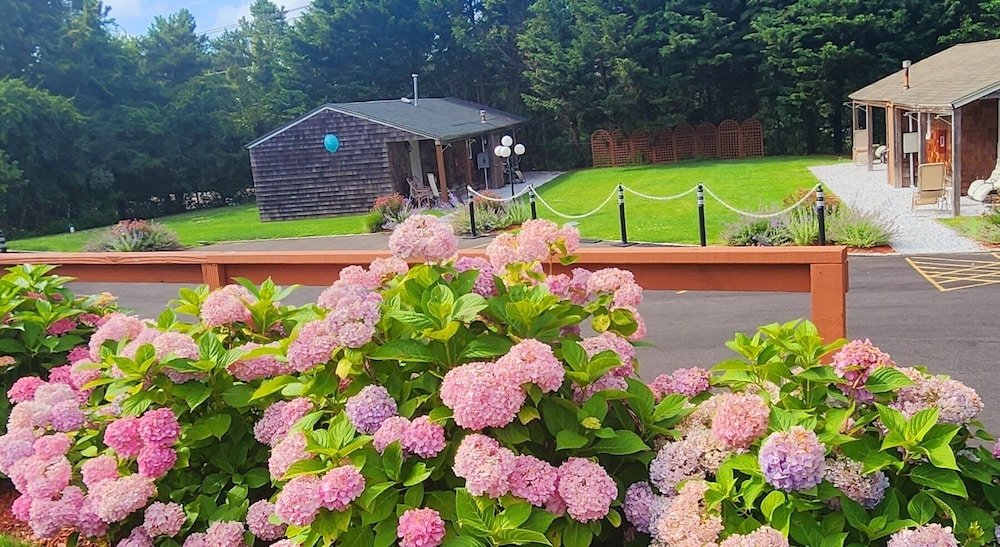 Sea Haven Resort Motel - photo 29