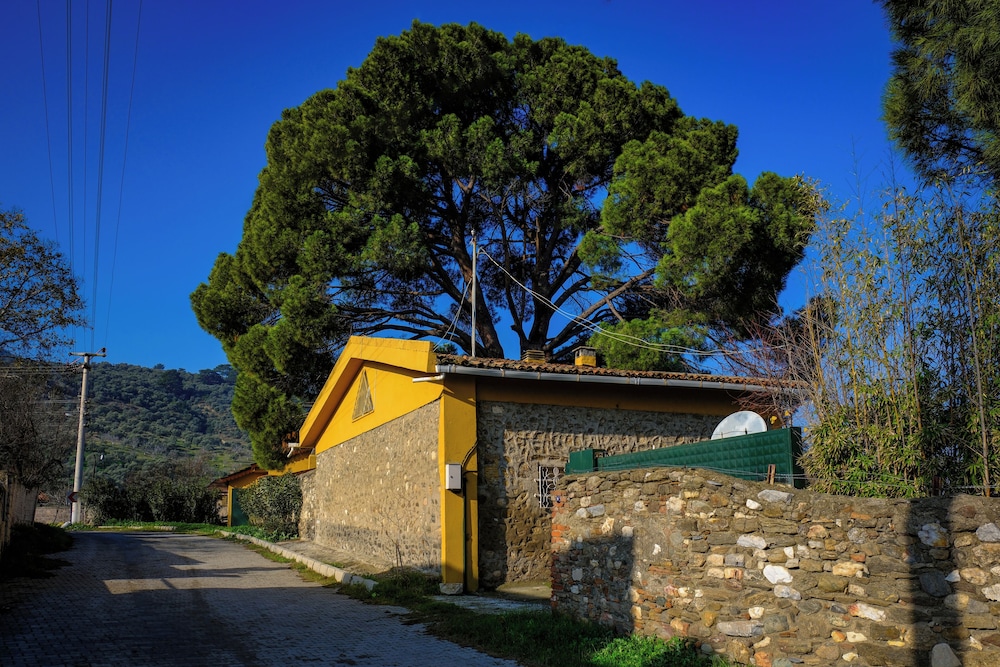 Saygın Farmhouse Ephesus Boutique Hotel — hotel in Tire
