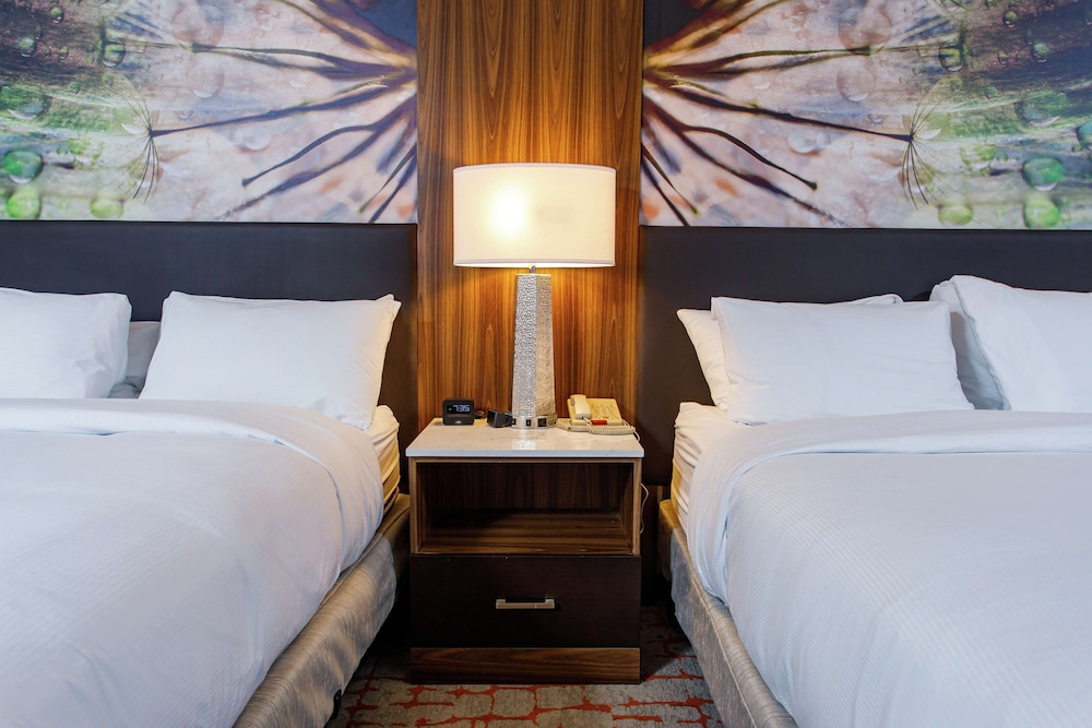 DoubleTree by Hilton Appleton - photo 12