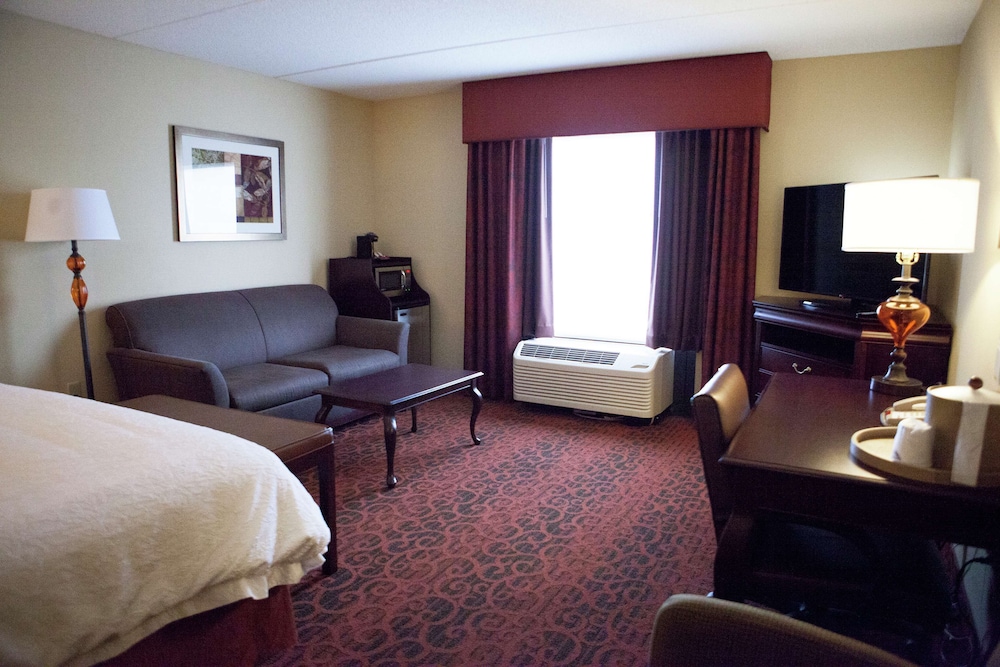 Hampton Inn Rochester Webster - photo 8