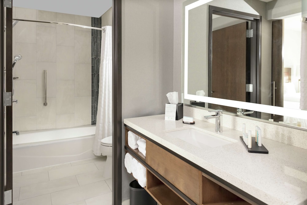 Embassy Suites by Hilton Grand Rapids Downtown MI - photo 23