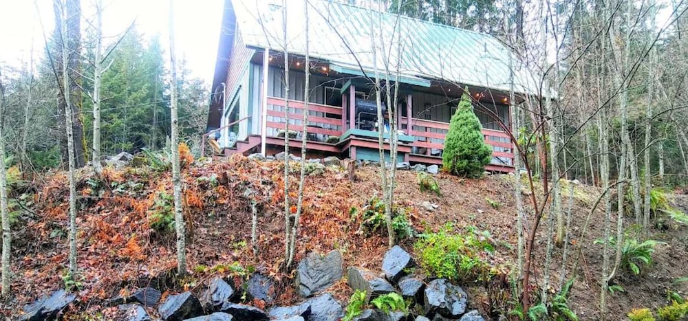 Packwood Family Ski and Vacation Getaway - photo 30