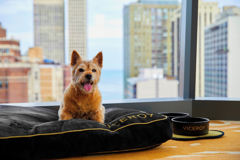 Viceroy Chicago - photo 46