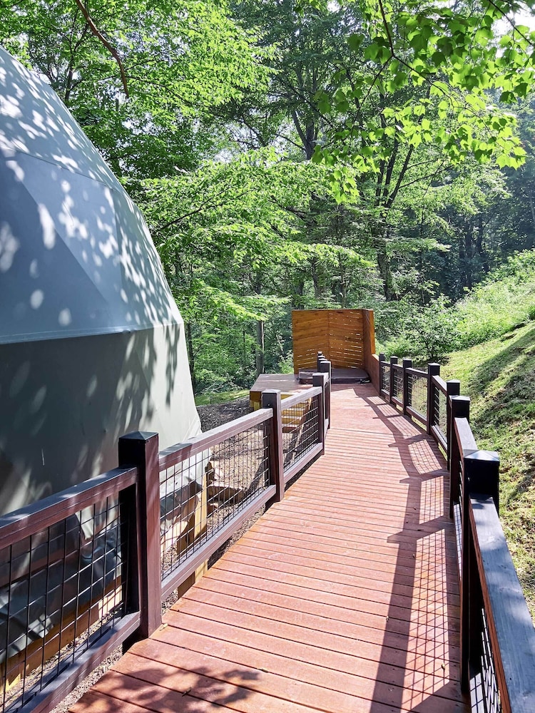 The Glamping Collective - photo 204