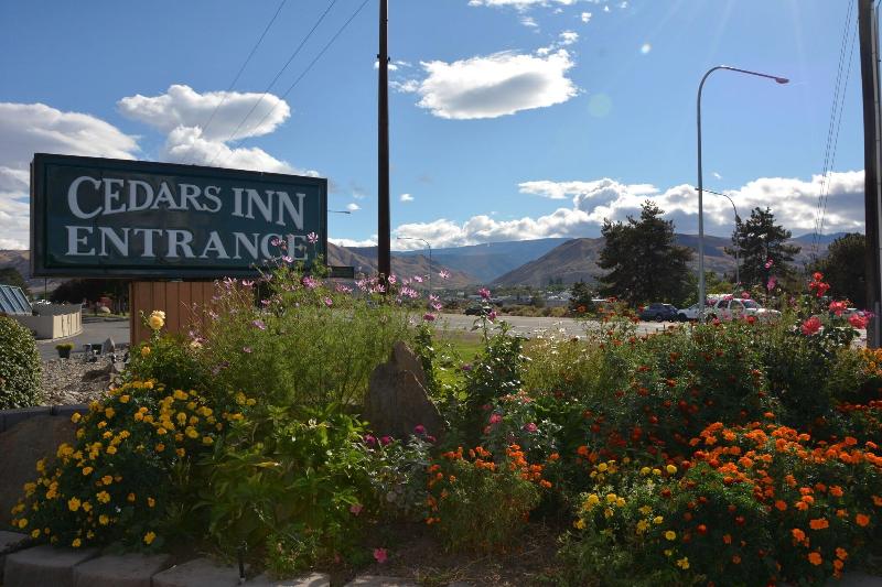 Cedars Inn - photo 12