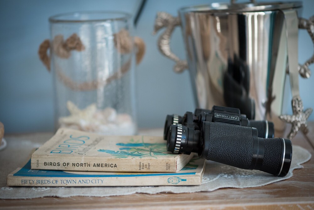 The Serendipity Inn - photo 2