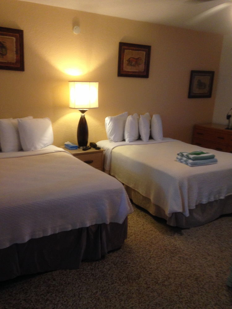 Amber Tides Motel - photo 3
