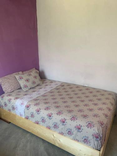 Pousada casa Eurico in Unknown City, Cape Verde