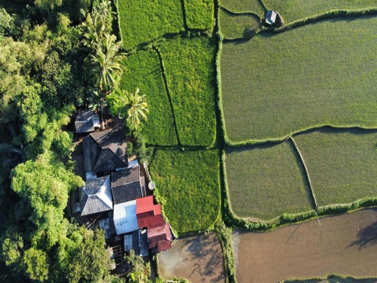 Jonny's Places - carbon neutral hotel in Unknown City