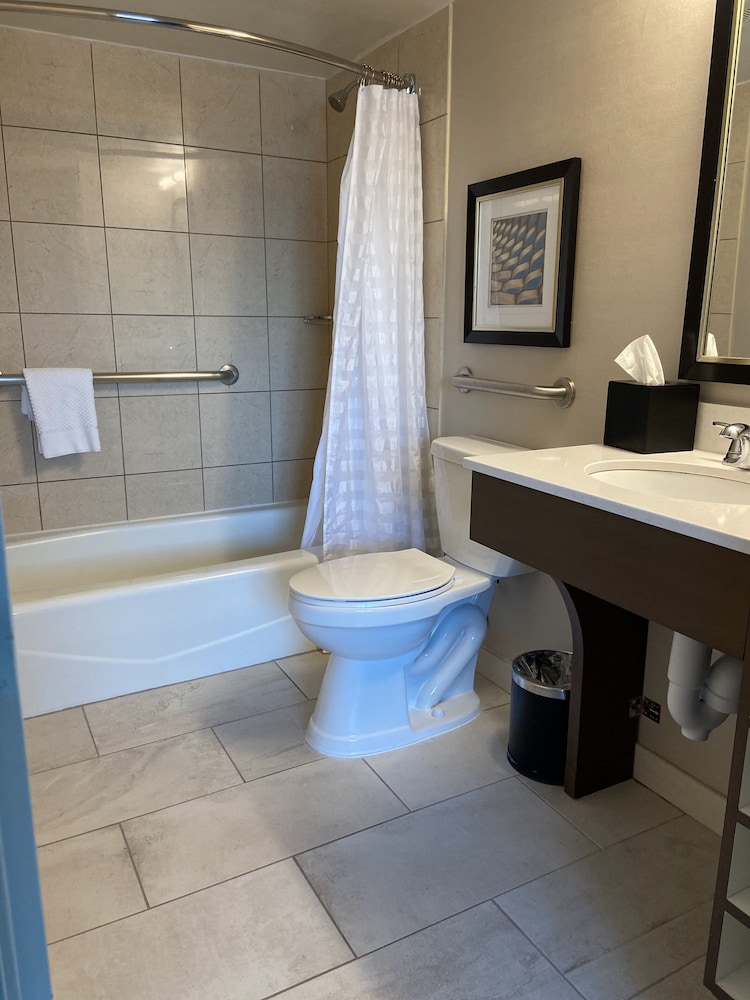 Embassy Suites by Hilton Chicago Schaumburg Woodfield - photo 17