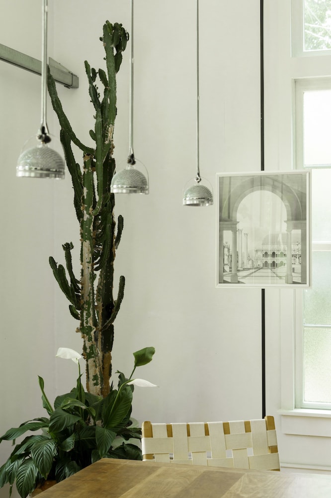 The Store - photo 22