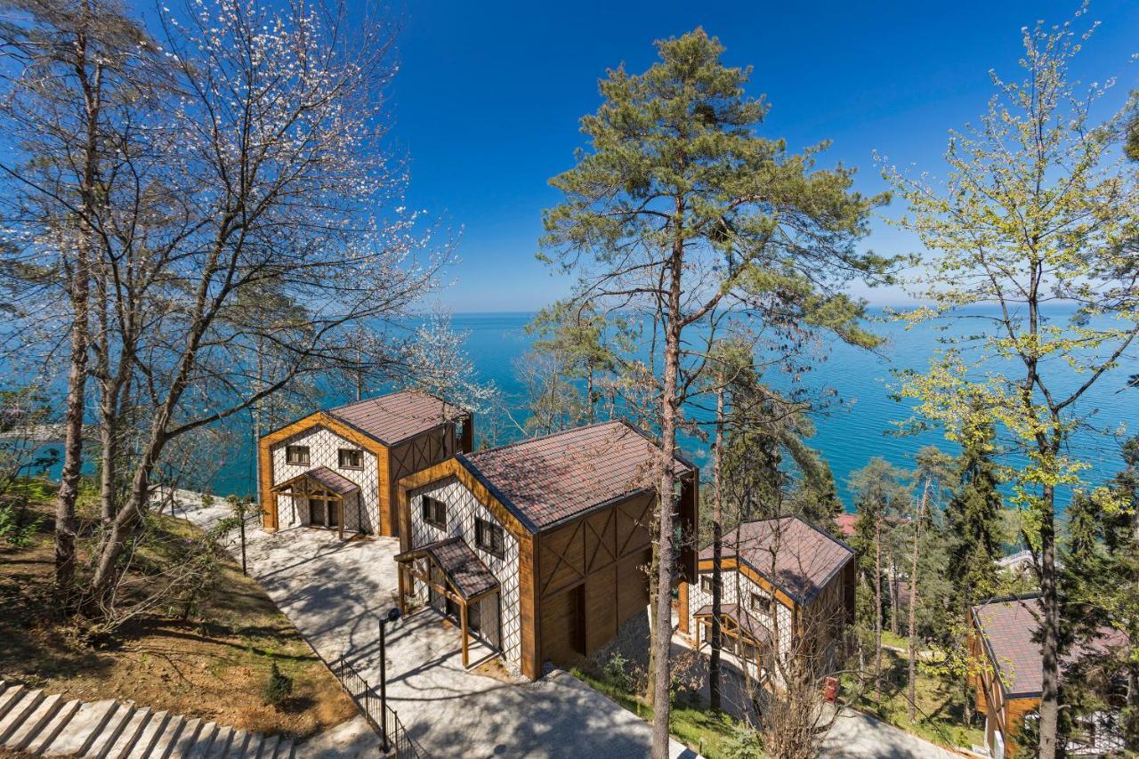 Hancioglu Camburnu Orman Evleri & Otel — Trabzon — photo 5