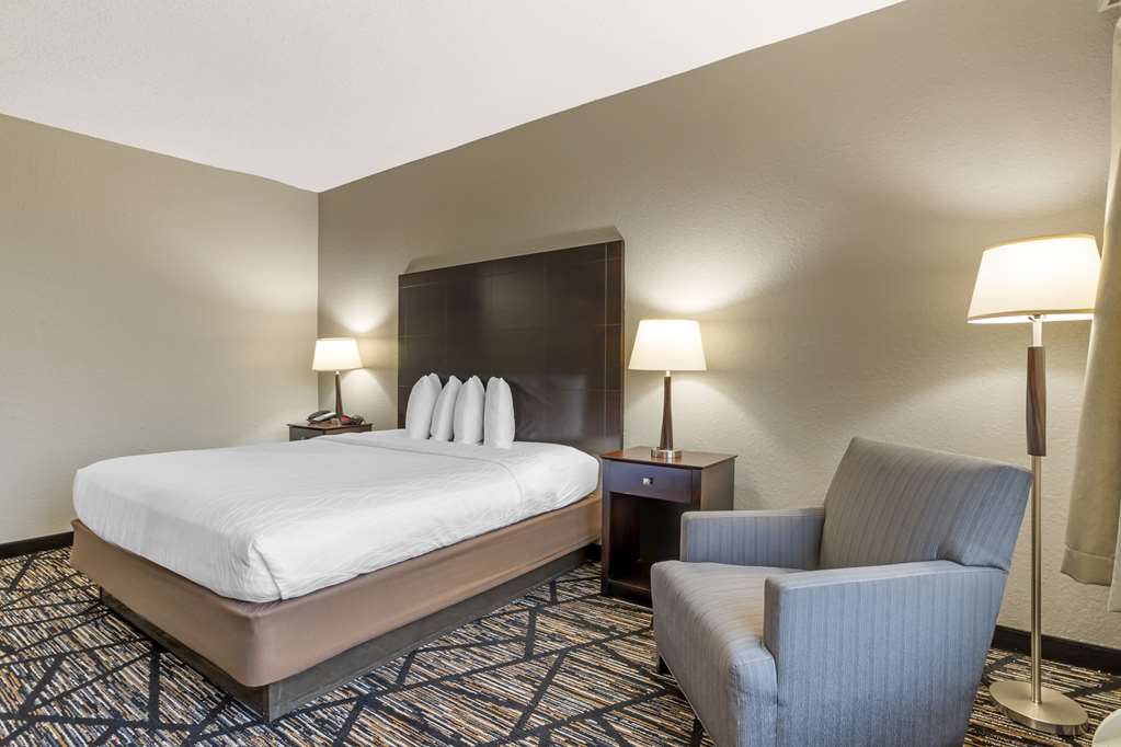 Best Western Plus Hobby Airport Inn & Suites - photo 11