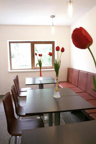Hotel Timisoara Sannicolau Mare — Sannicolau Mare — photo 3