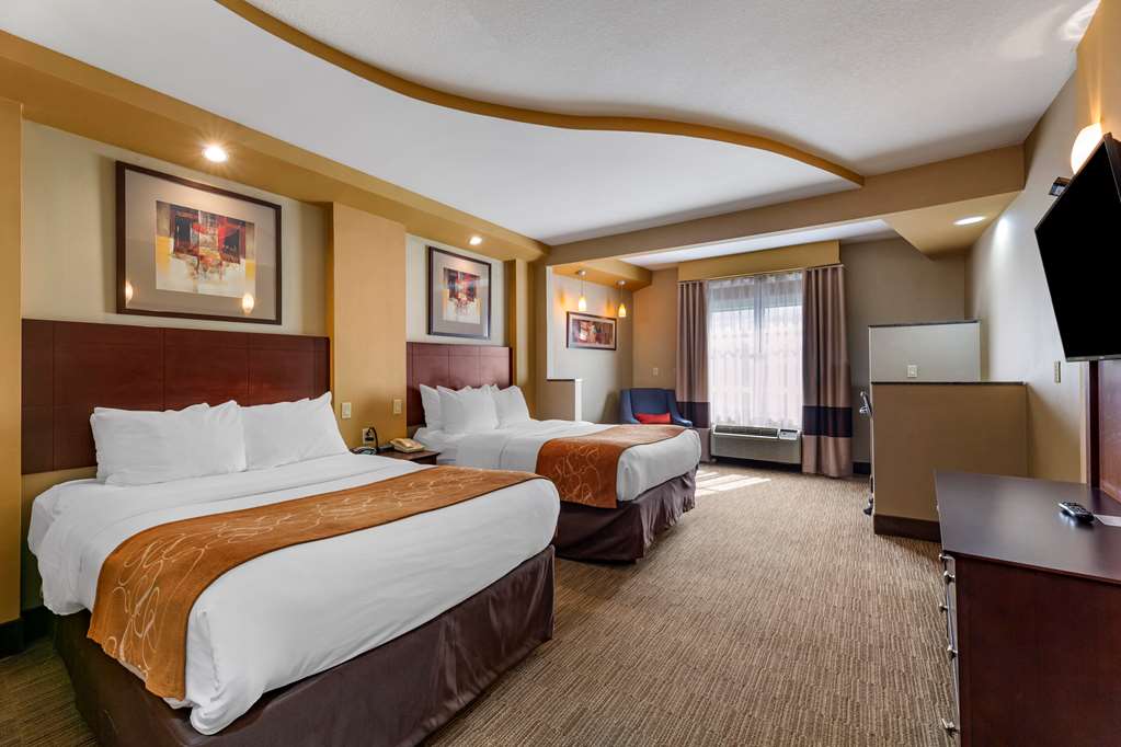 Comfort Suites Perrysburg Toledo South - photo 22