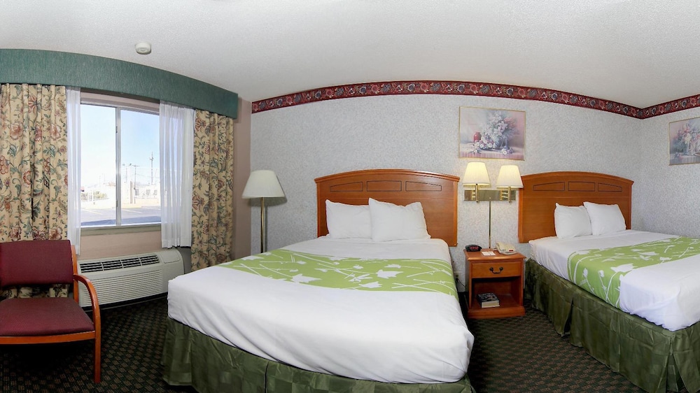 Lone Star Inn Texas - photo 2