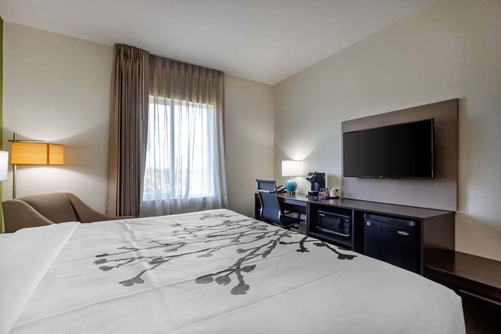 Sleep Inn & Suites Tampa South - photo 16