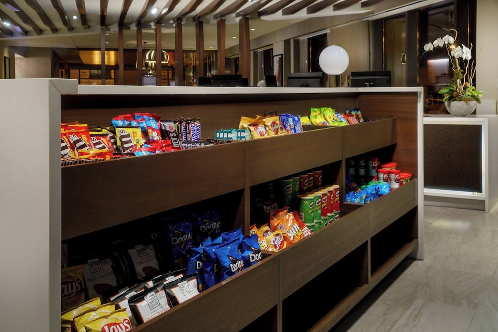 Springhill Suites by Marriott Chicago Downtown River North - photo 18