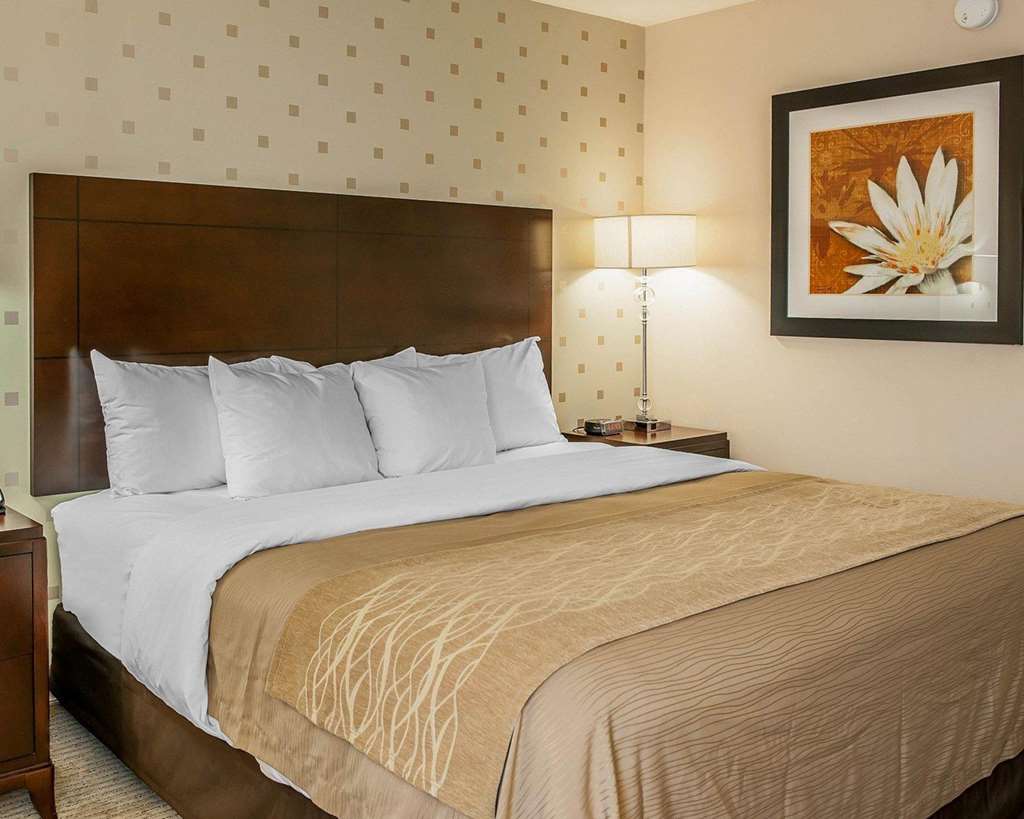 Comfort Inn Bloomington near University - photo 10