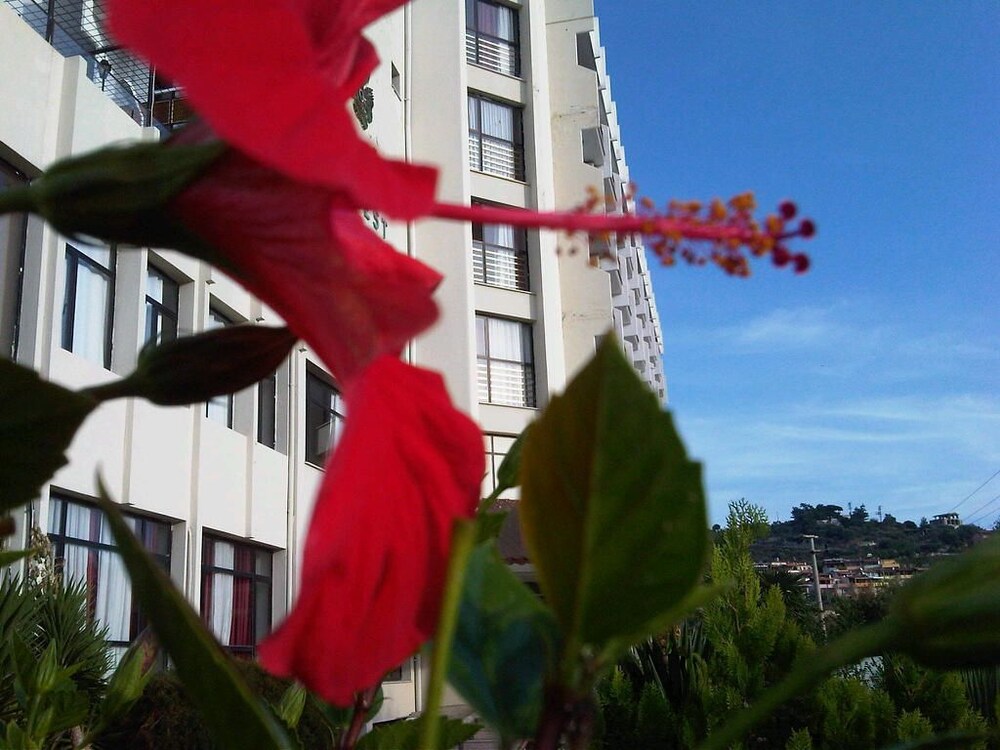 West Ada Inn - last minute hotel in Kusadasi