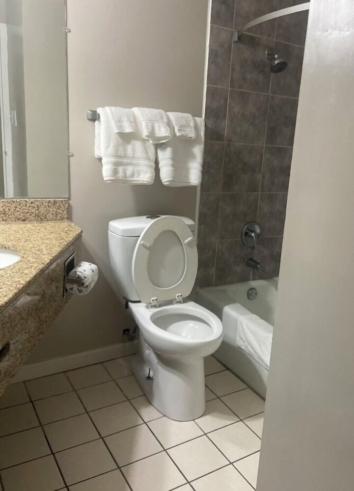 Apm Inn & Suites - photo 14