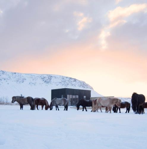 Akurgerði Guesthouse 4 Country Life Style