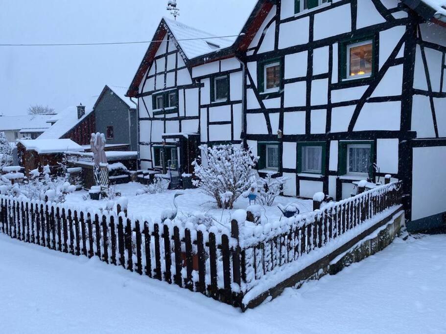 Naturnah in Hellenthal — Hellenthal — photo 2