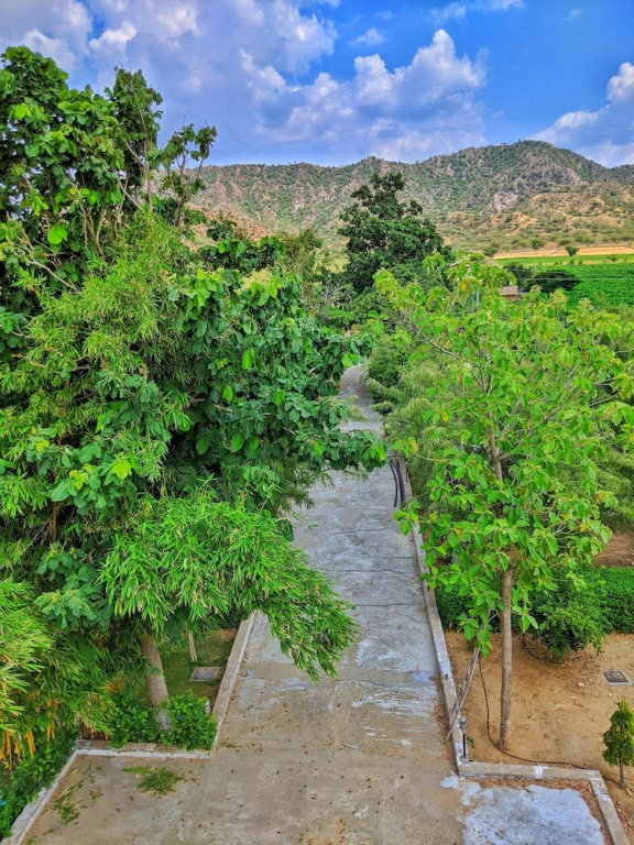Nurture by Madpackers — Ajmer — photo 5