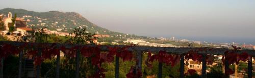 B&B Premium — Premia De Mar — photo 3