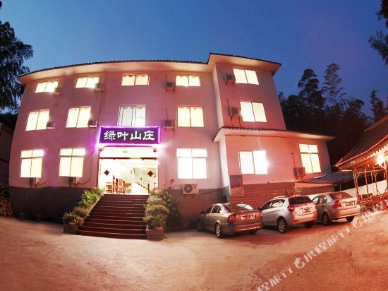 Ivy in Changning, People's Republic of China