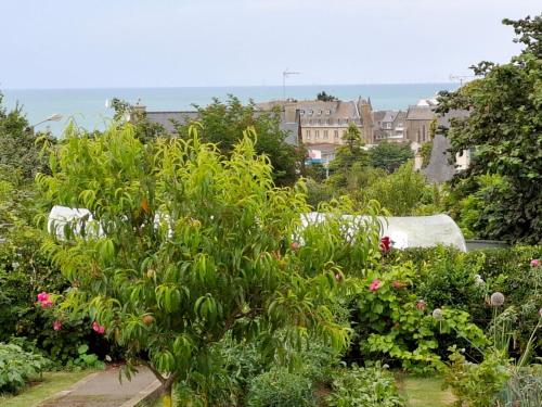 Fusains 5 in Saint-Quay-Portrieux, France