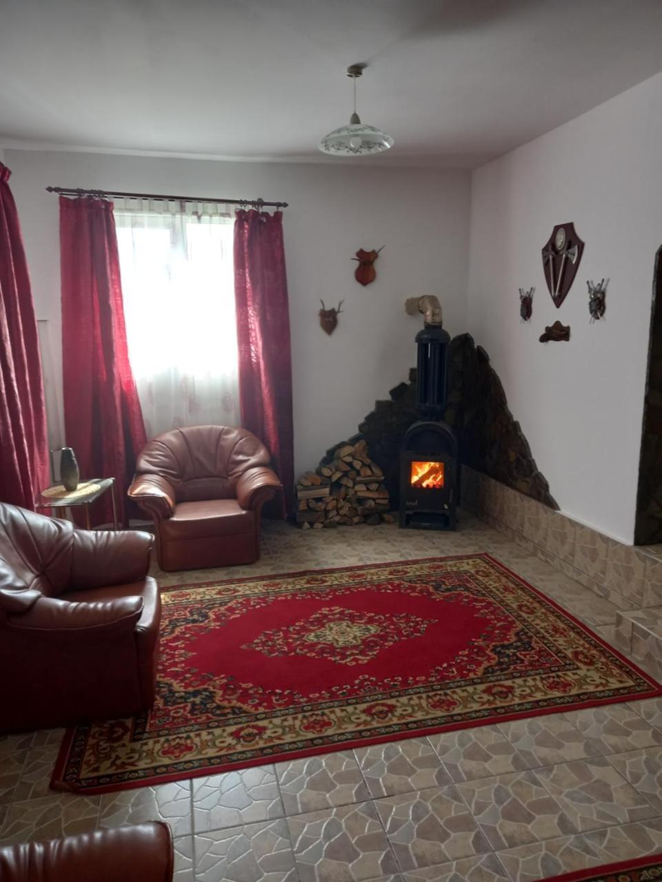 David House — Bicaz — photo 2