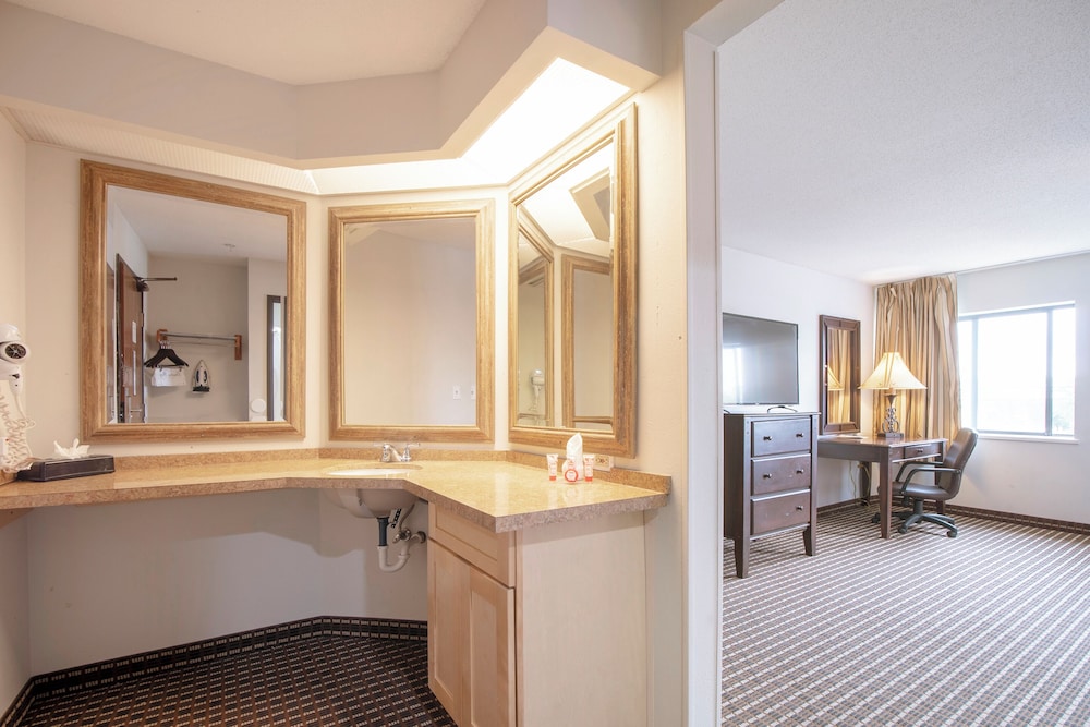 Rodeway Inn Houston North Greenspoint Houston TX - photo 36