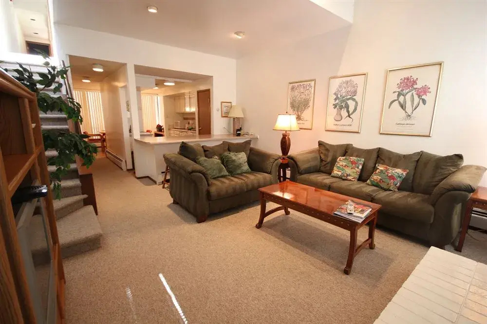 Park Avenue Condominiums Park City Resort Lodging - photo 29