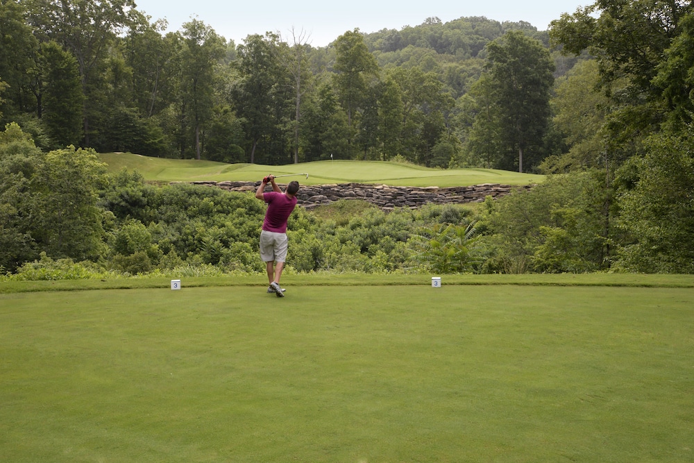 Dale Hollow Lake State Resort Park - photo 18